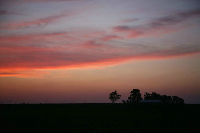 Sunset over farmland