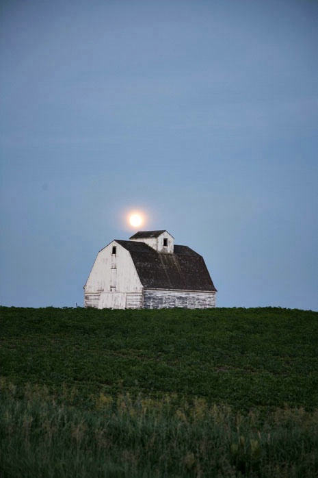 Full moon rising - vertical