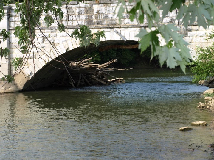 RIVER ART