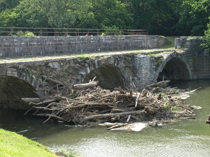 RIVER ART