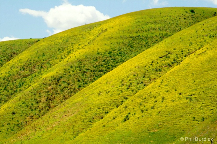 rolling_hills