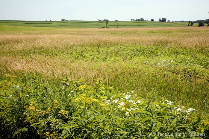 Prairie and Farmland