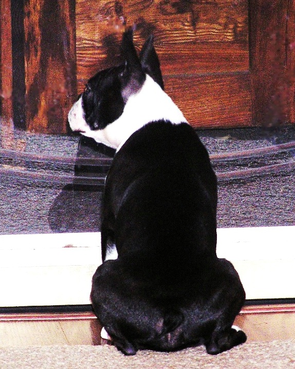 WAITING! WAITING! I KNOW SHE'LL BE BACK SOON
