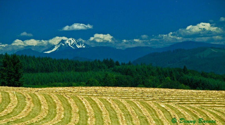 All in a Row, Farming-Oregon 