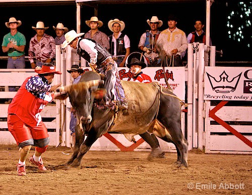 July 4th Rodeo Del Rio, Texas Style