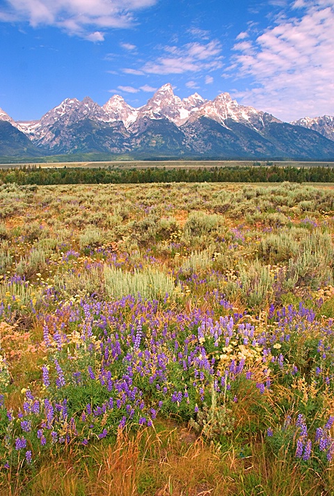 Grand Tetons