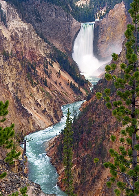 Lower Yellowstone Falls -Yellowstone National Park