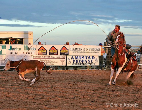 Calf Roping Del Rio Style