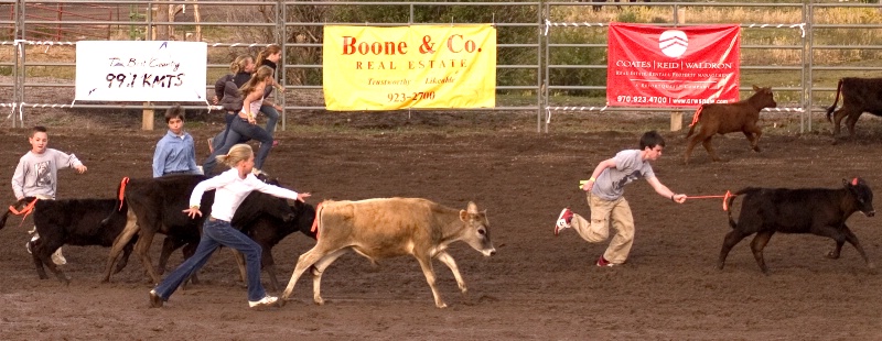 Snowmass Rodeo calf scramble