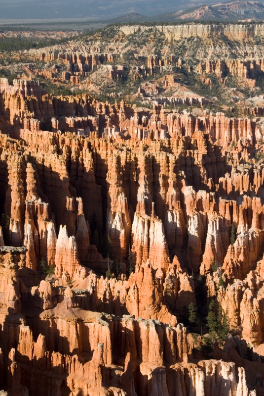 Bryce Canyon view