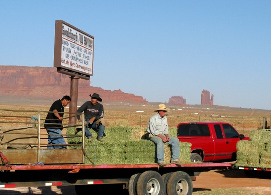 Hay sale