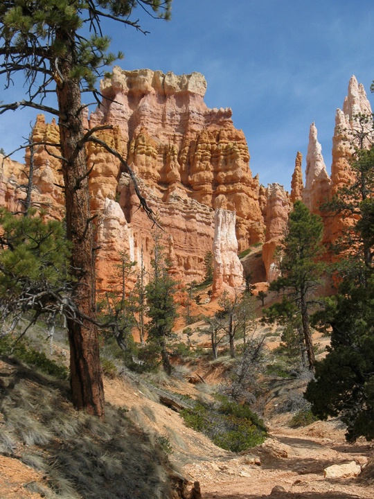 Inside Bryce
