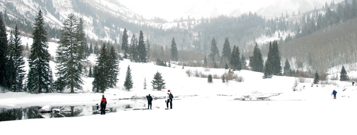 Winter Wilderness