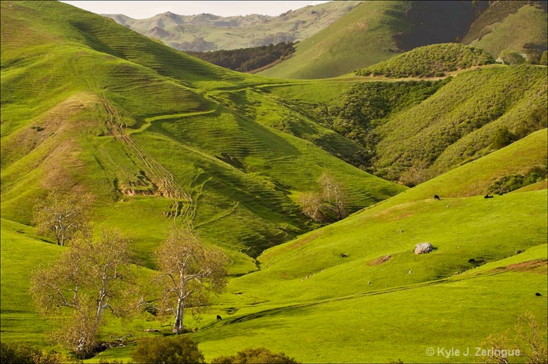 Green Valley Road Scenic