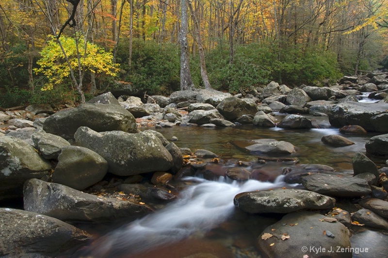 Smokies Stream