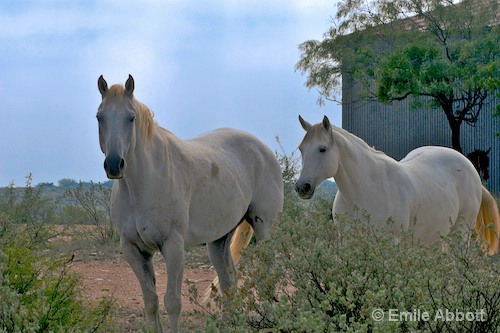 Three is a crowd