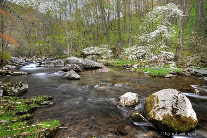 Springtime at Tremont