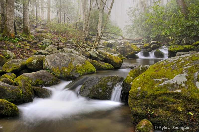 Fog on Roaring Fork 2