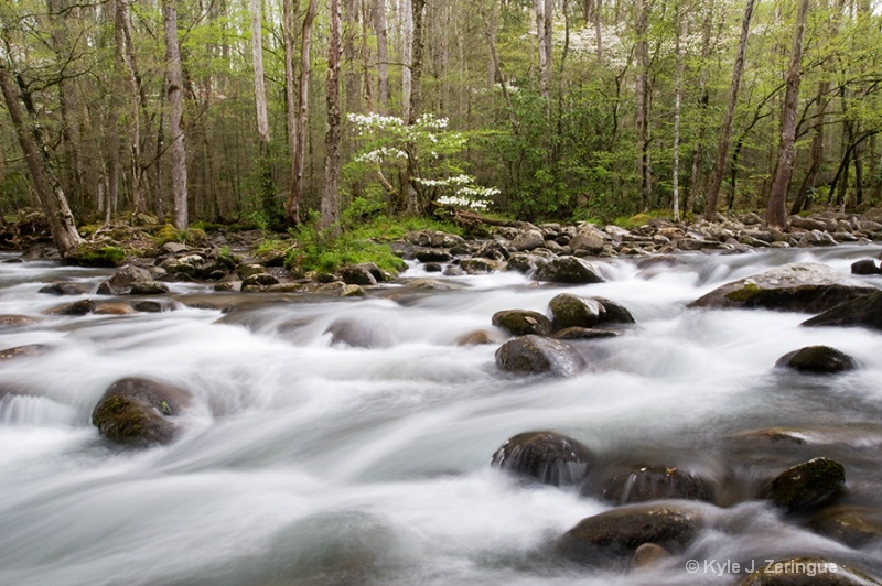 Greenbrier After Rain