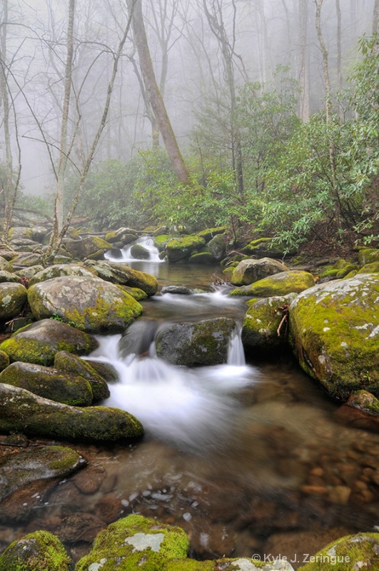 Fog on Roaring Fork