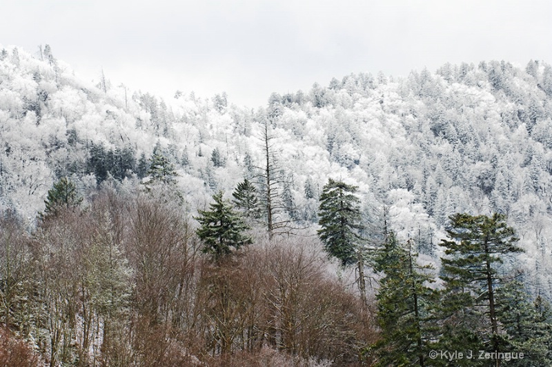 Newfound Gap Spring Ice