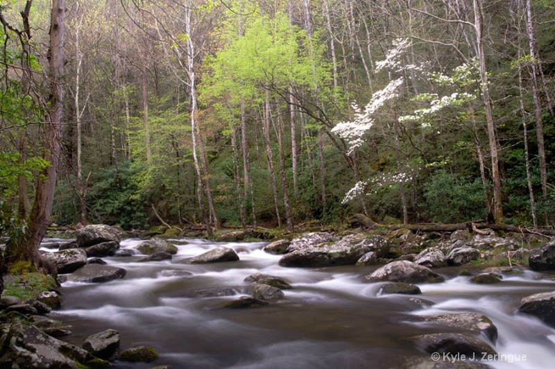 Roaring Fork, Springtime