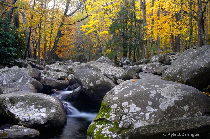 Fall Color Near Chimneys Picnic Area
