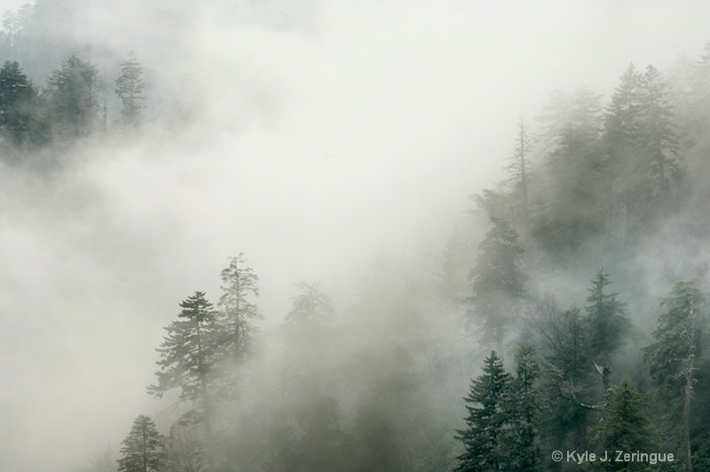 Foggy Hillside