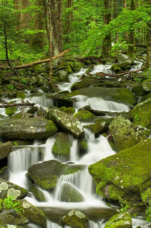 Roadside Wet Weather Cascade