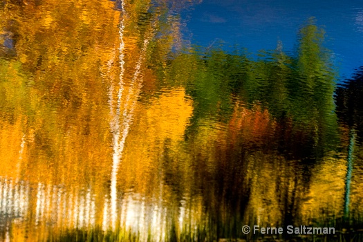Monet Trees