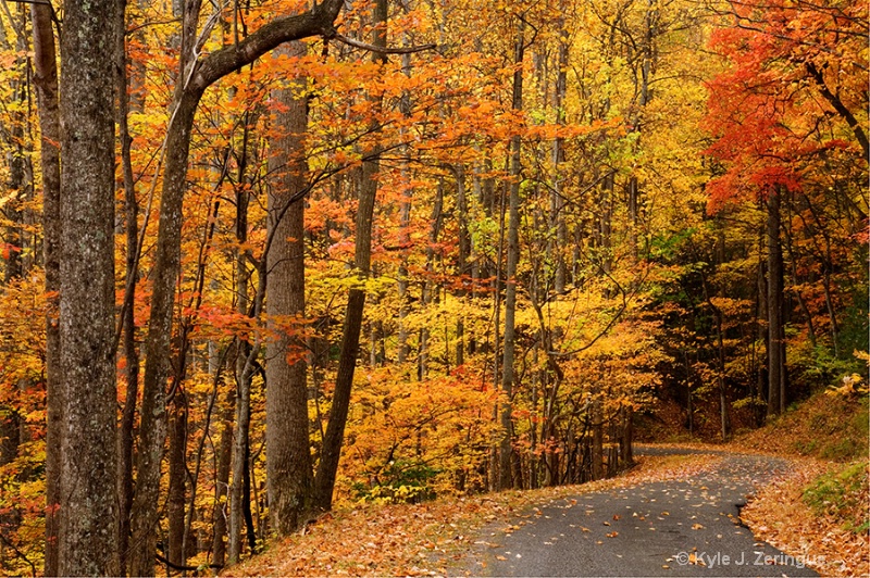 Fall in the Smokies