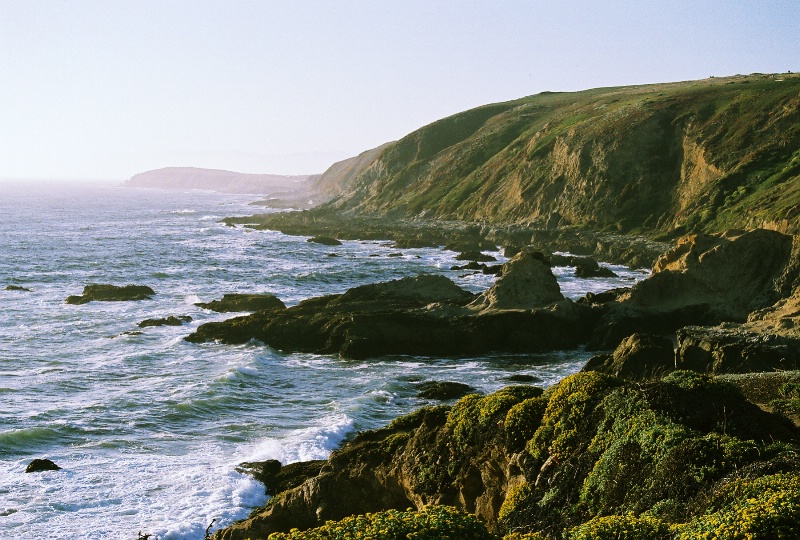 Bodega Bay, CA