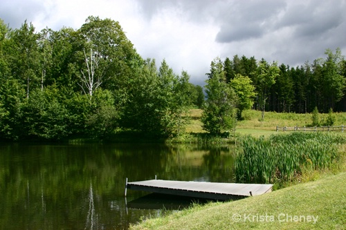 Pond and dock