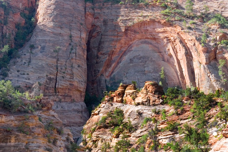 zion amphitheatre