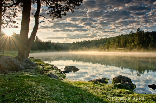 Misty Sunrise  