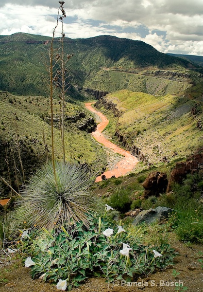 Salt River Canyon, AZ