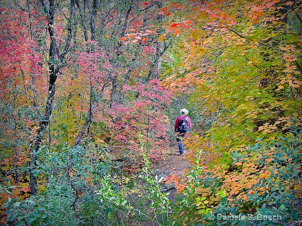 a fall hike  