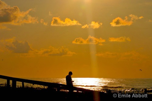 Summer shines for Photographers