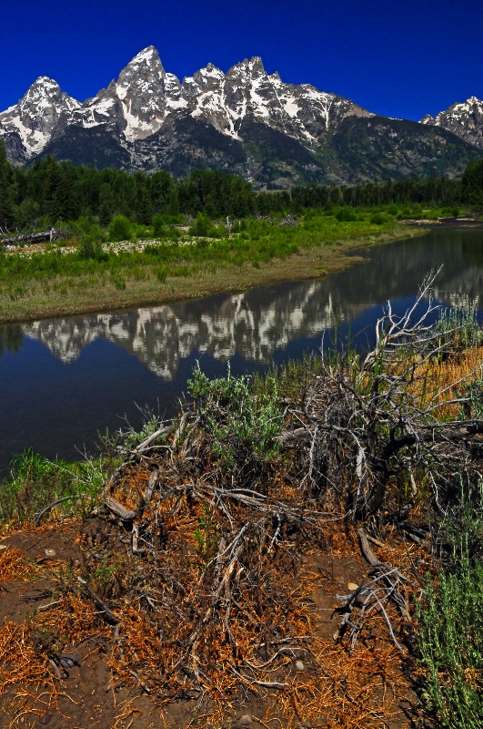 Grand Tetons