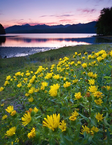 Hood Canal Sunset