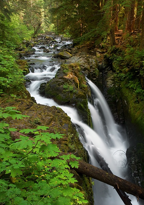 Sol Duc Falls, Olympic National Park