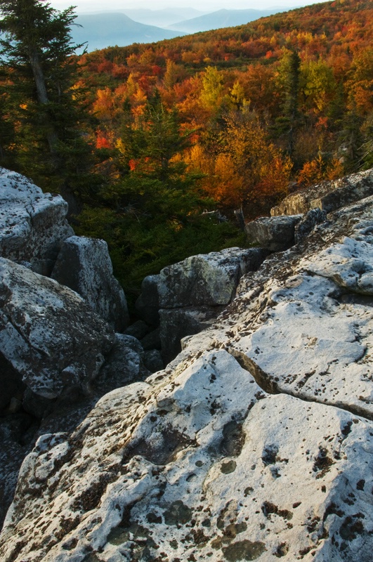 bear-rocks-view