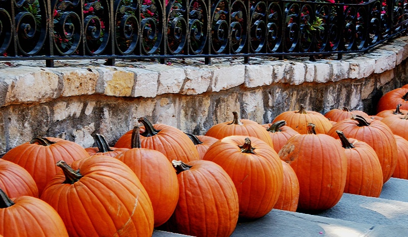 Pumpkins in a Row