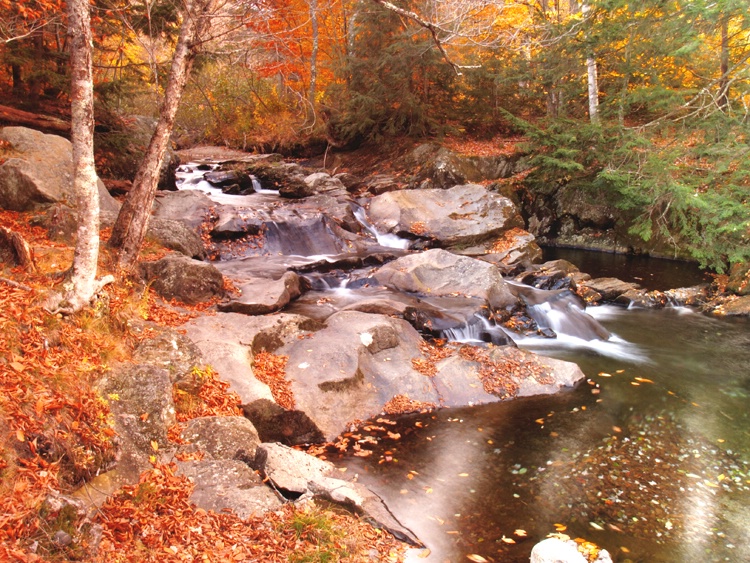 Any Creek, New Hampshire