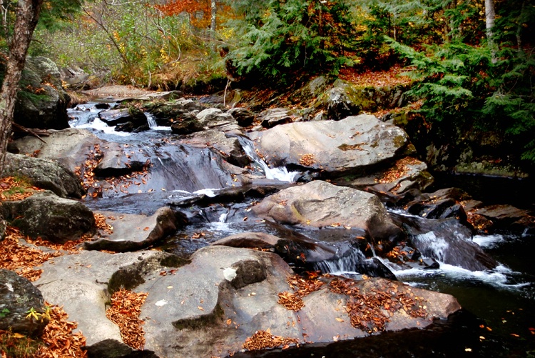 Falls, Rocks, and Leaves