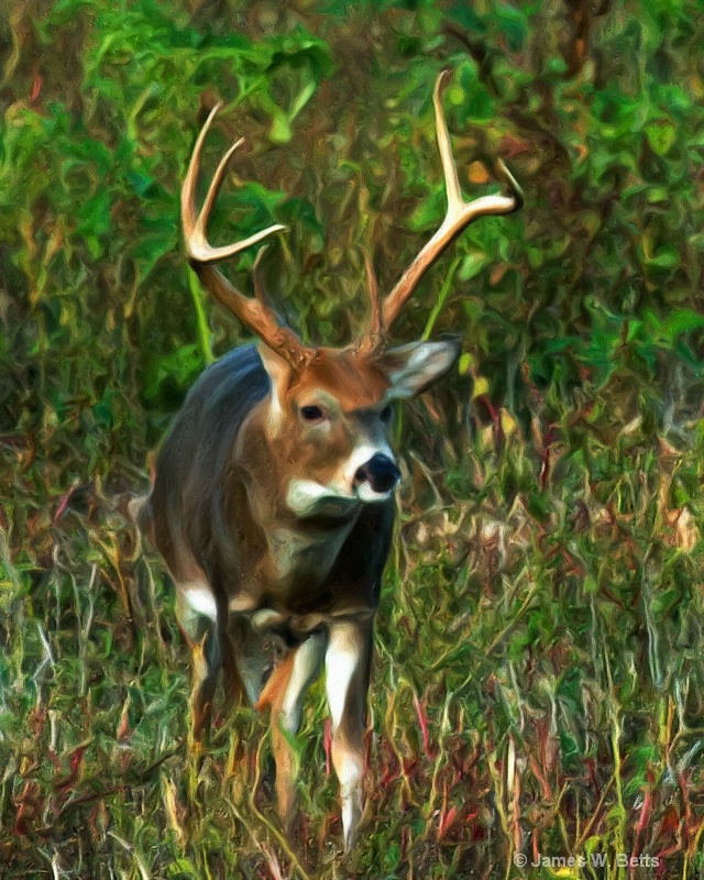 Painted Whitetail Deer