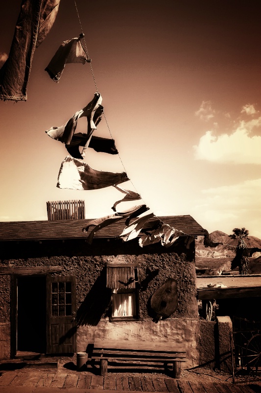 Desert  Wind