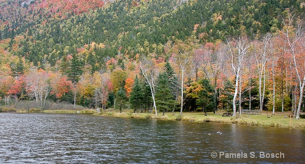 New Hampshire Fall