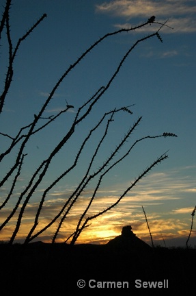 Sunset Big Bend NP