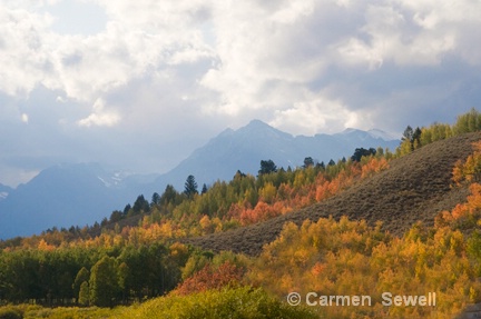 Fall Color at Oxbow Bend